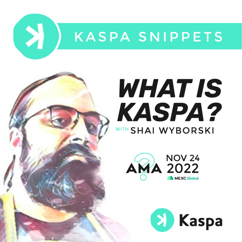 kaspa-AMA-snippet-Shai-IG